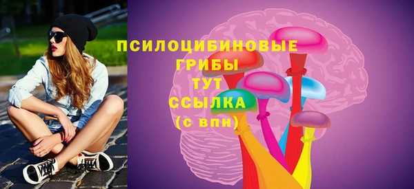 соль ск Зеленодольск