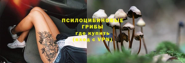 соль ск Зеленодольск